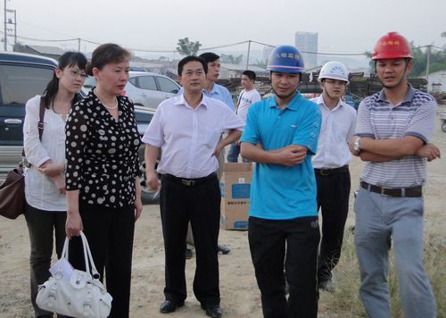 自治区人民政府办公厅副调研员张春芳一行莅临百色市竹洲大桥视察工程希望情形 - 企业要闻 - J9集团
